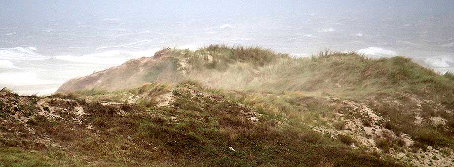 duinen met opwaaiend zand